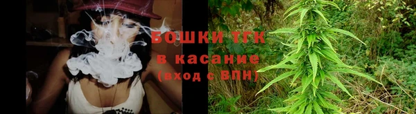 молекула духа Верхний Тагил