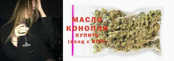 молекула духа Верхний Тагил